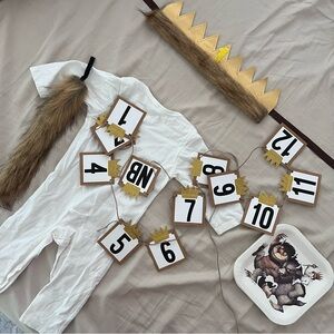 Party decorations “Wild One” Where the Wild Thing Are First Birthday